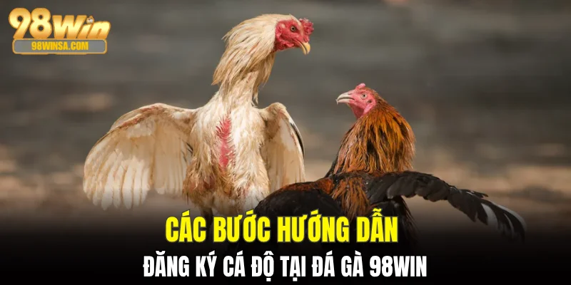 Đá Gà 98WIN: Nền Tảng Giải Trí Uy Tín Top Đầu Châu Á 3 Các bước hướng dẫn đăng ký cá độ tại đá gà 98WIN