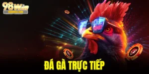 Đá Gà Trực Tiếp - Đặt Cược Thắng Lớn Mỗi Ngày Tại 98Win