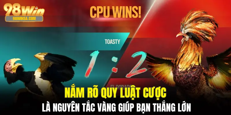 Đá Gà Trực Tiếp - Đặt Cược Thắng Lớn Mỗi Ngày Tại 98Win 4 Nắm rõ quy luật cược là nguyên tắc vàng giúp bạn thắng lớn