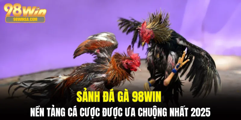 Đá Gà 98WIN: Nền Tảng Giải Trí Uy Tín Top Đầu Châu Á 1 Sảnh đá gà 98WIN nền tảng cá cược được ưa chuộng nhất 2025